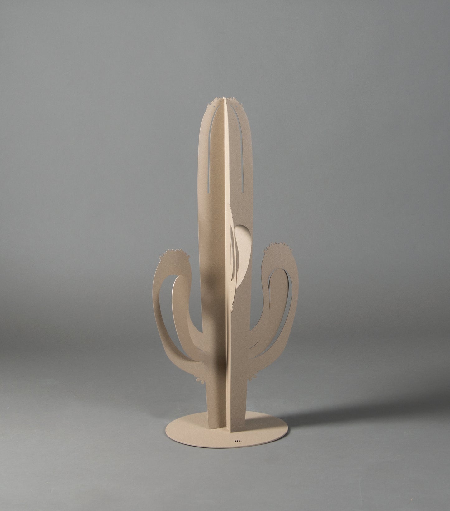 Pianta decorativa Cactus Saguaro Piccola