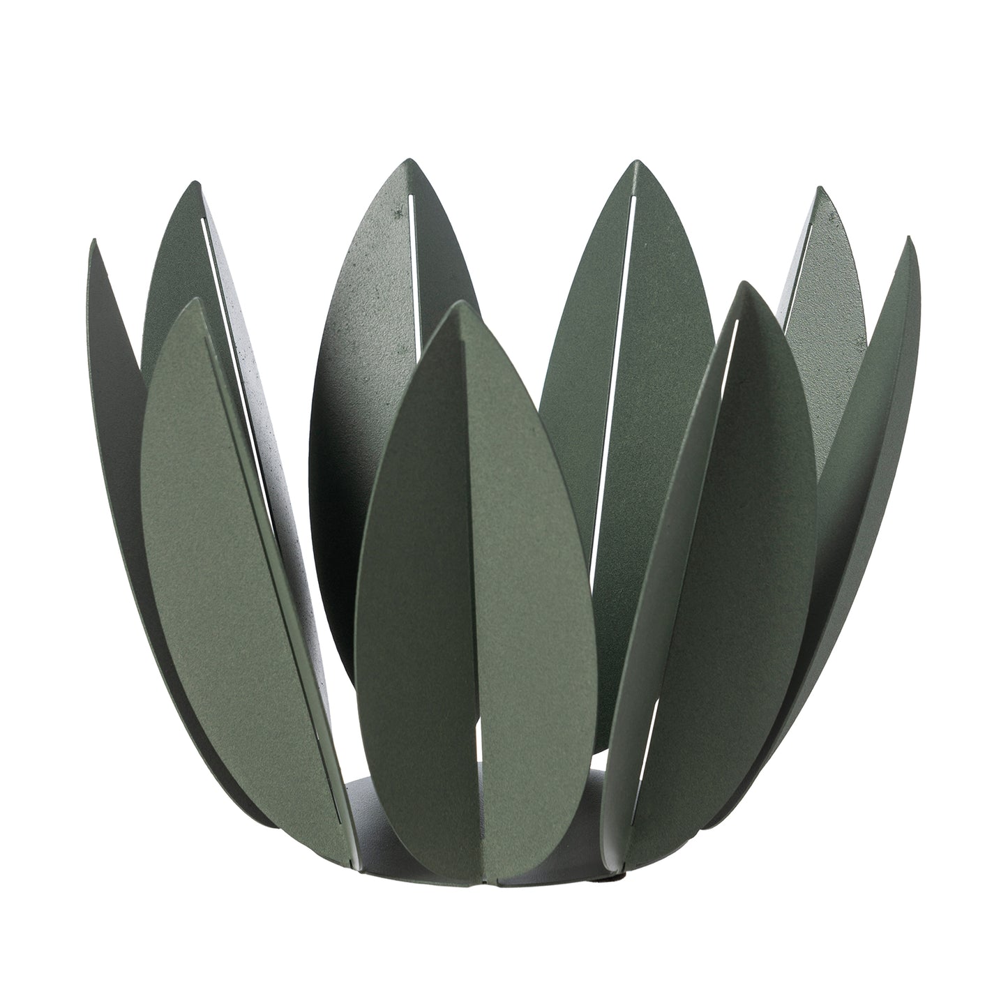 Ficus citrus fruit bowl