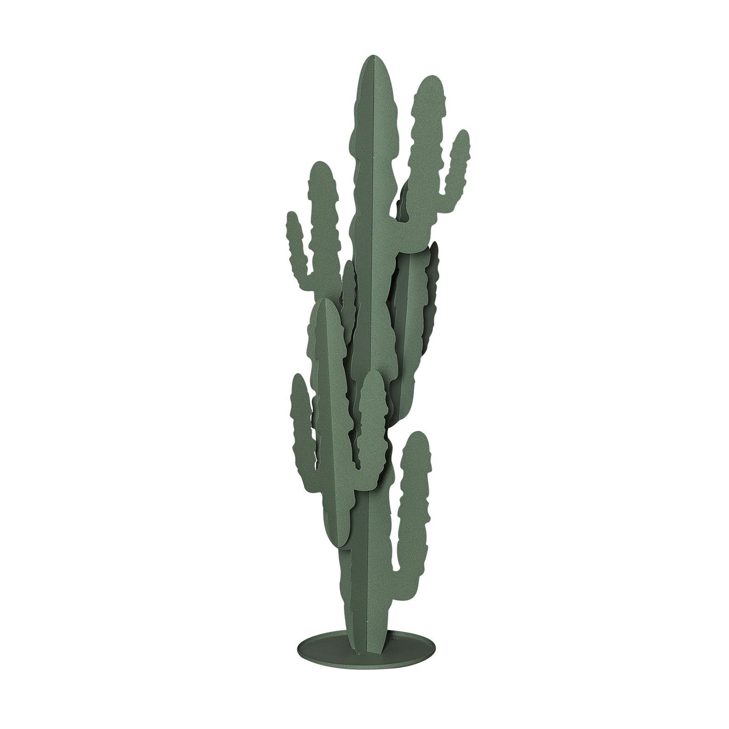 Pianta decorativa moderna Cactus grande