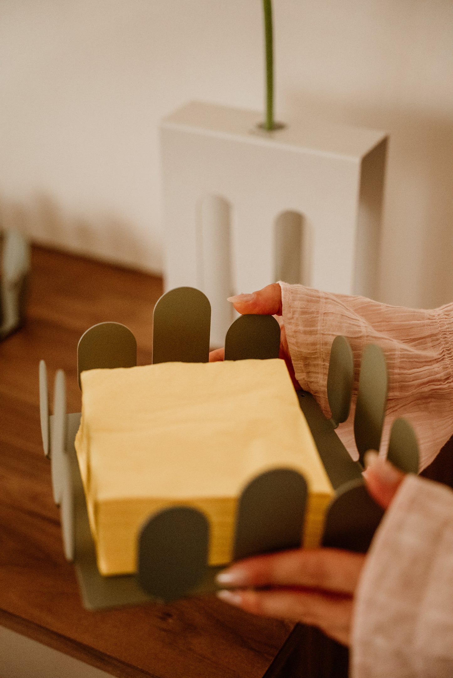 Park napkin holder