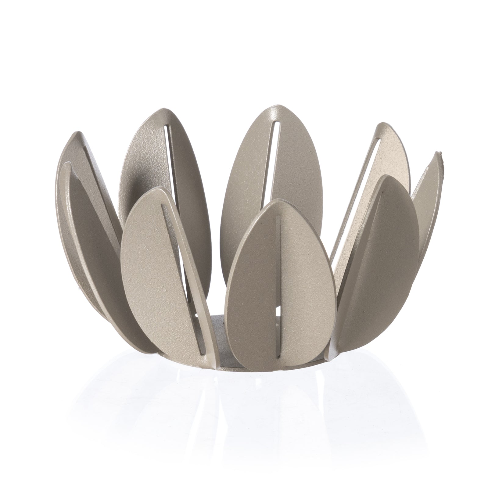 Ficus basket favour