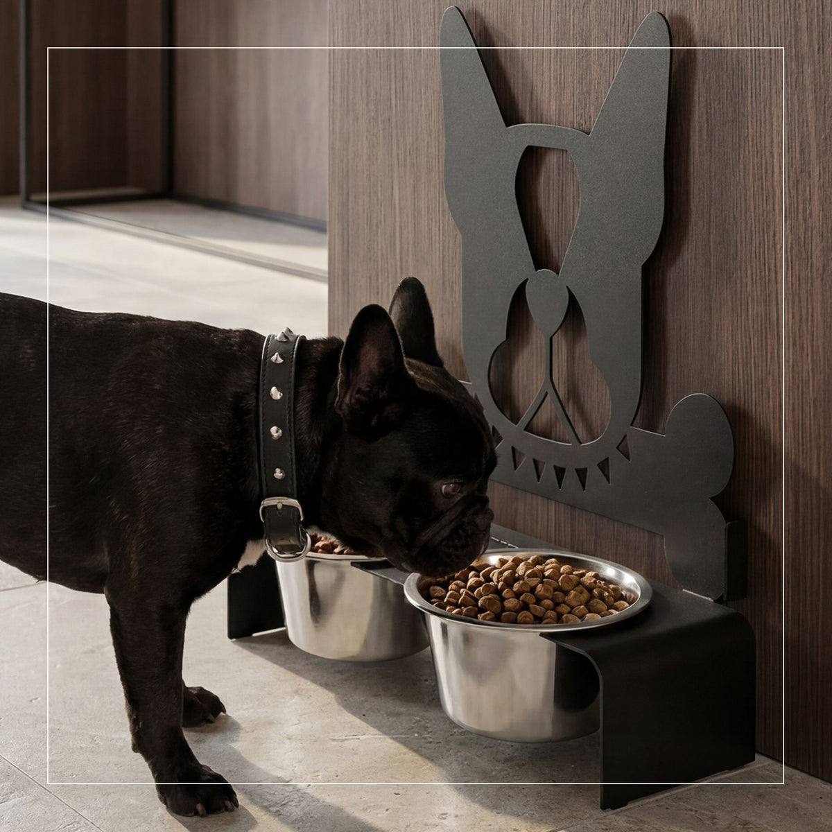 Foto ambientata del porta ciotole per cani Buddy con bulldog francese nero di Arti e Mestieri.