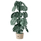 Large Monstera modern floor lamp