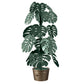 Large Monstera modern floor lamp