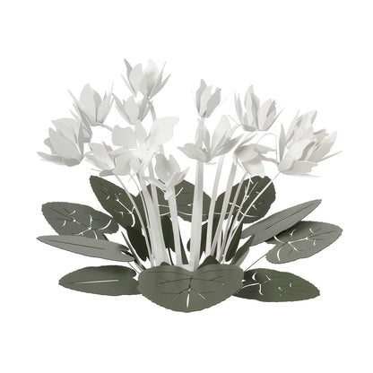 Ciclamino design centrepiece