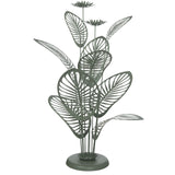 Modern decorative plant Croton